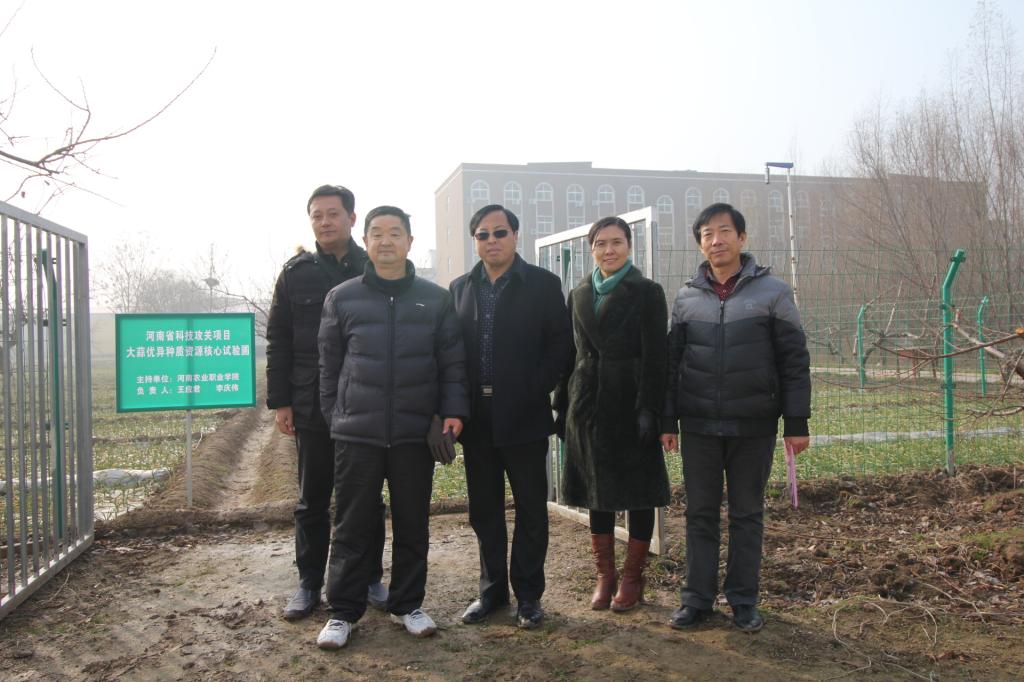 实地考察大蒜工程中心良种繁育圃