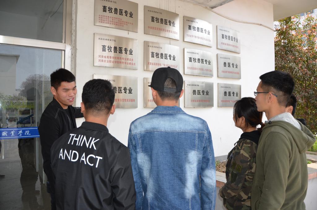 专业荣誉介绍