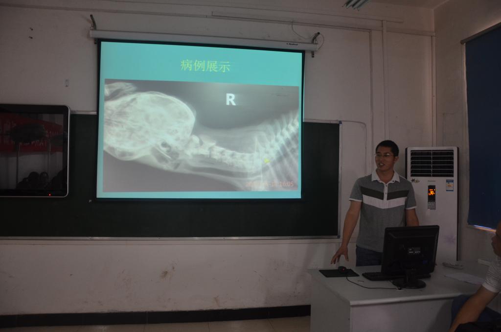 银岭老师汇报