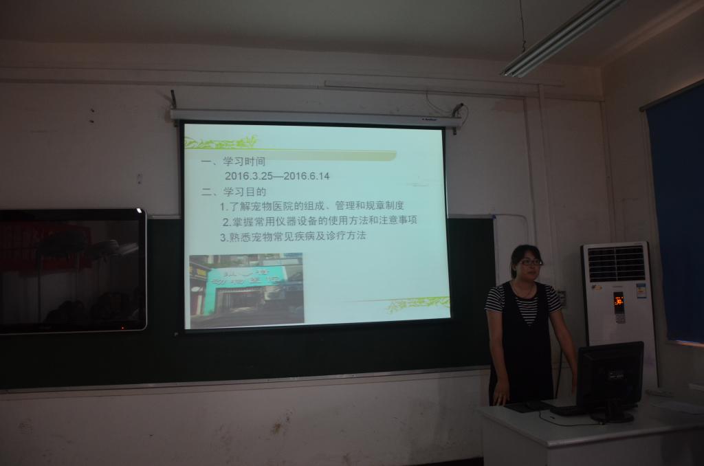 胡梅老师汇报
