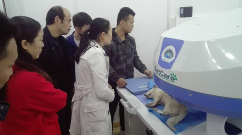 王申峰老师带领大家学习操作技术