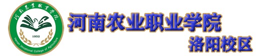 洛阳分院