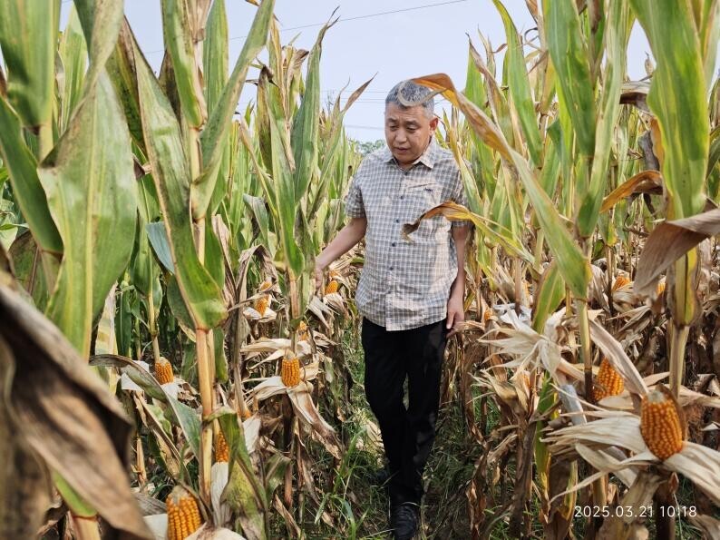 736ca2a3037956de3b0d4ec02bd94ab