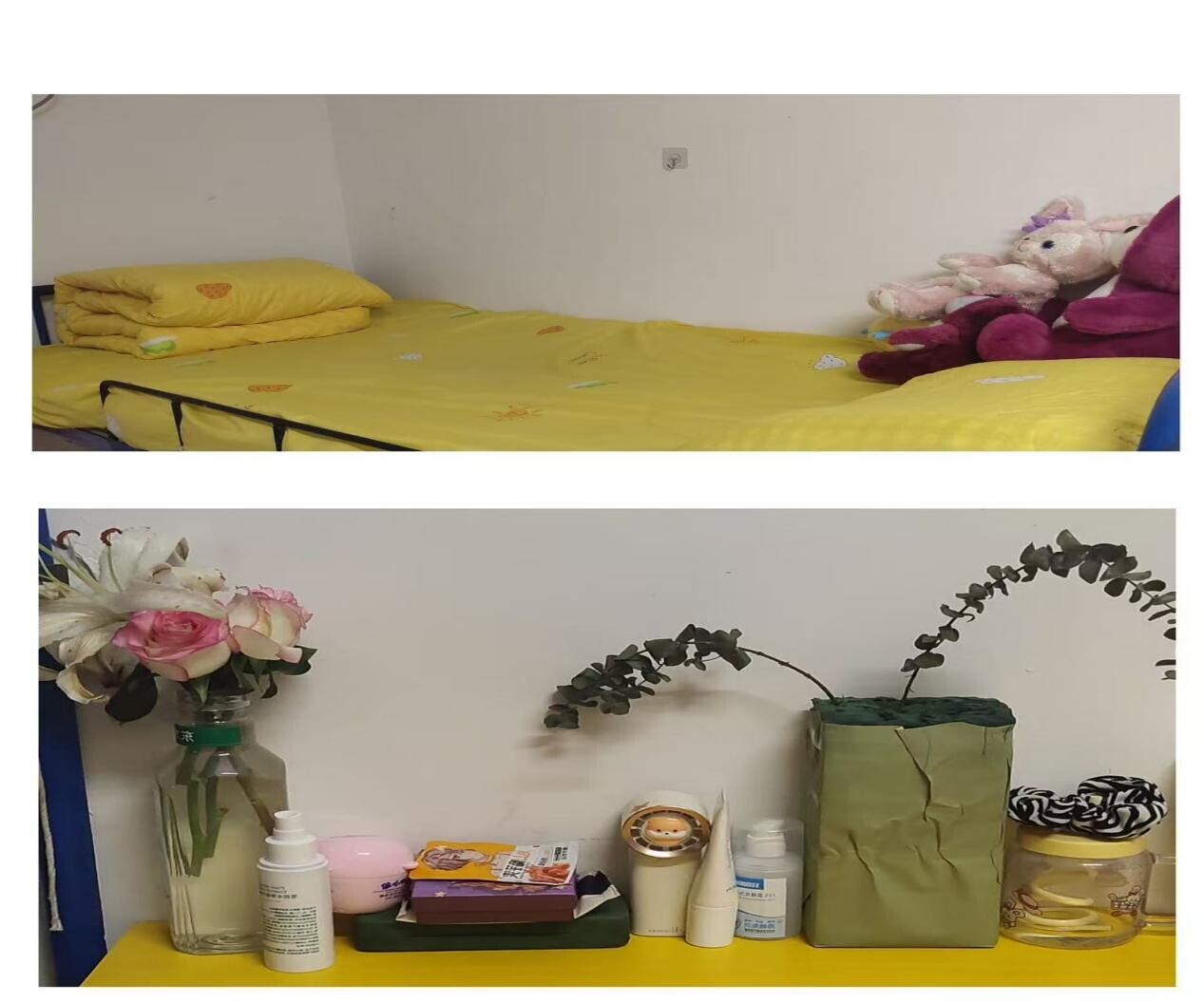 62f03e2e3671e74ae91d95abc22c789