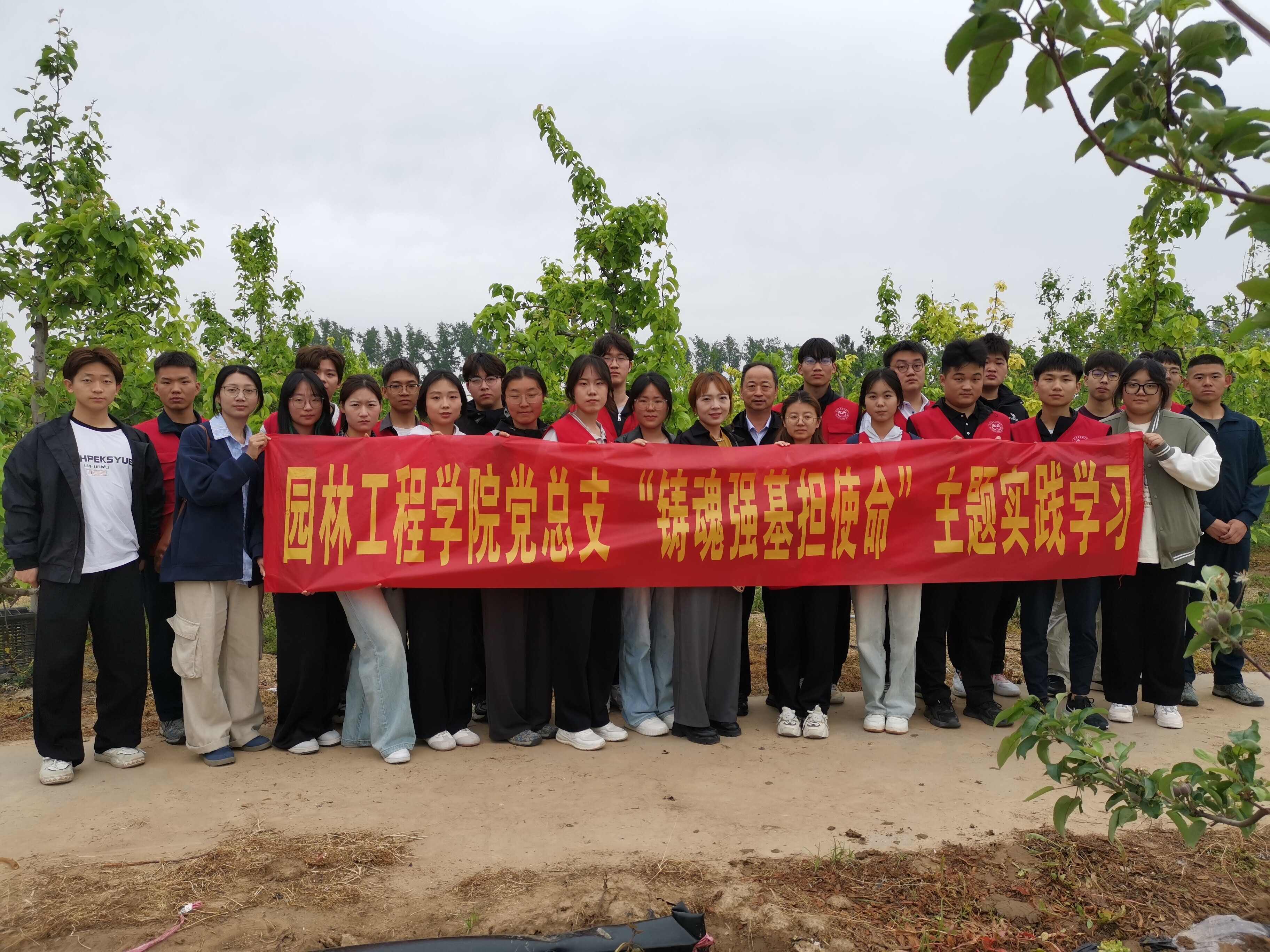 4c176874e59d608a7ad2320db43d6a0