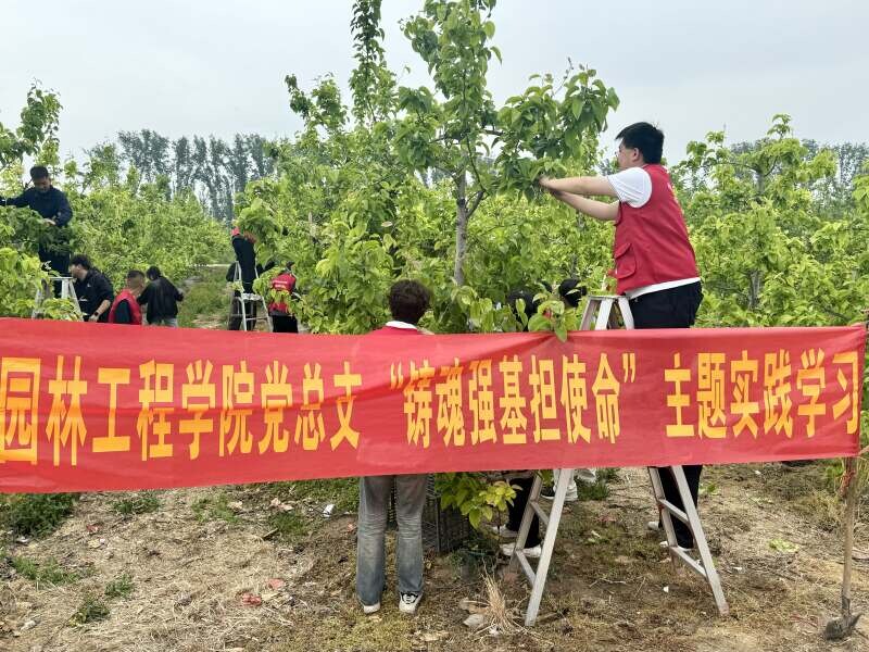 2ca462b08155f10b43c6f2373ff2600