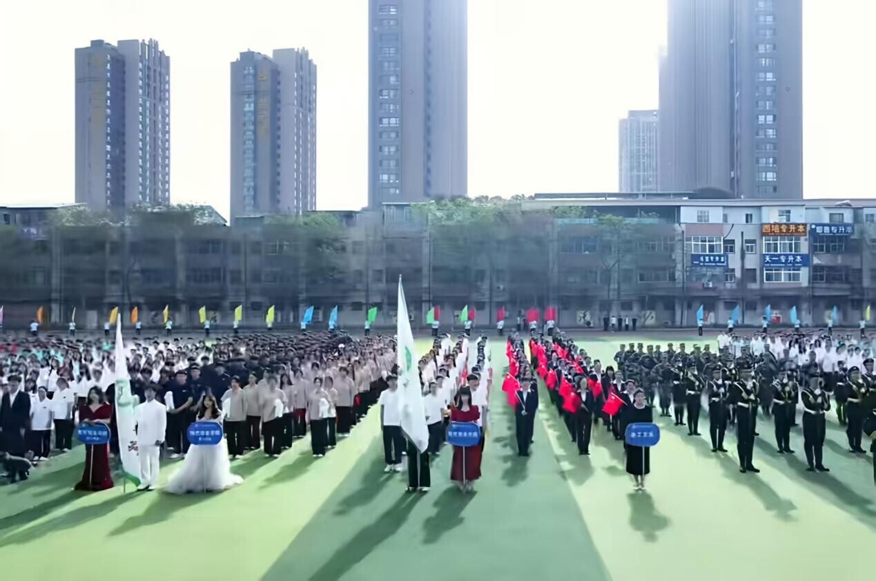 站队