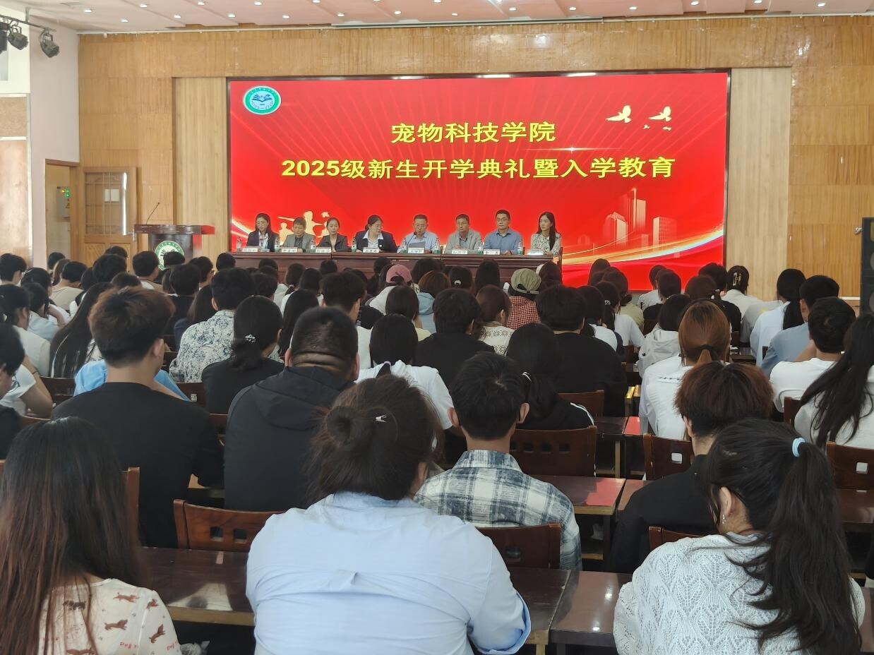 图示, 示意图 中度可信度描述已自动生成:ver1