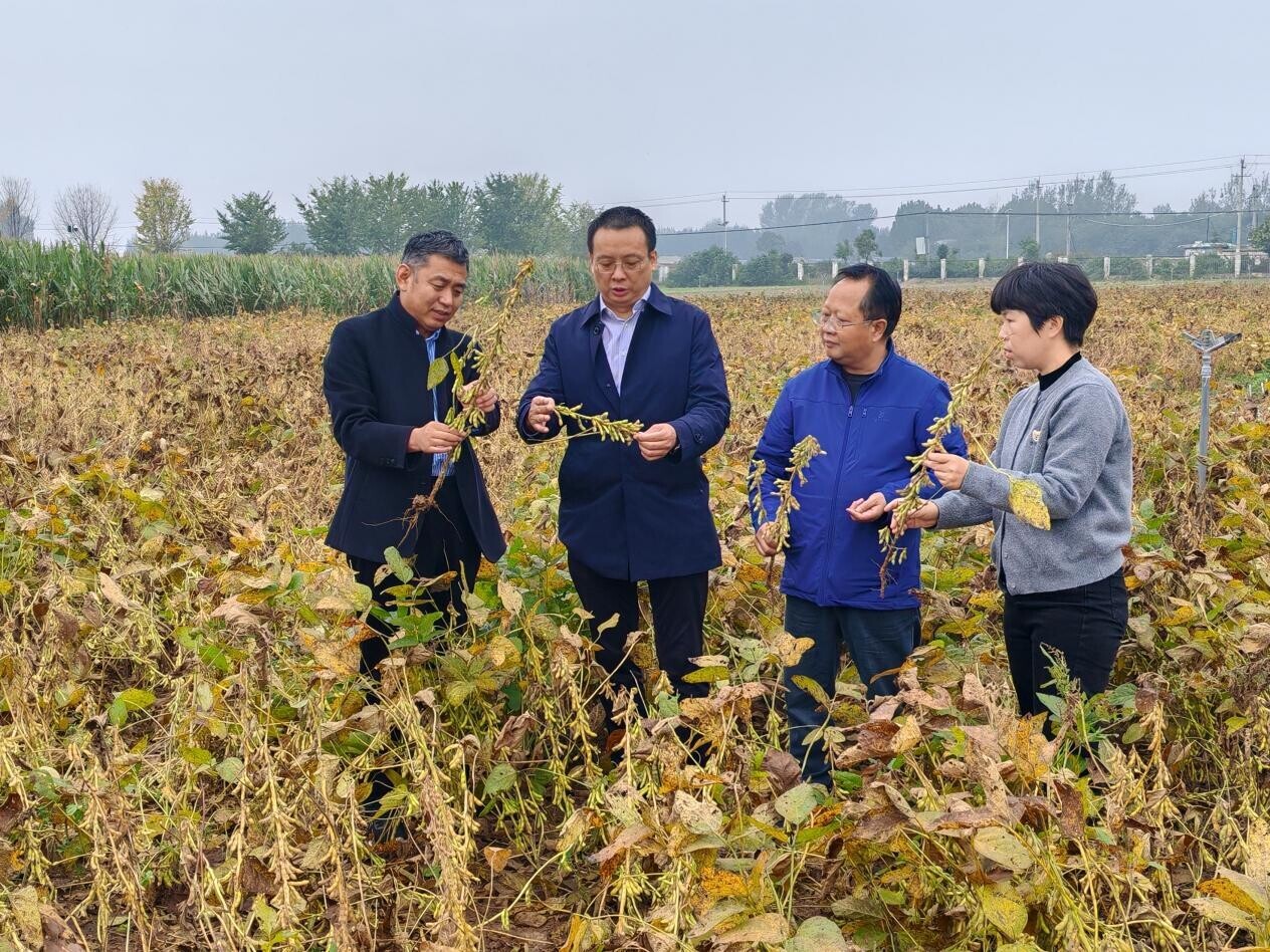 17a259a062ba80da2d25eab3e4171d6