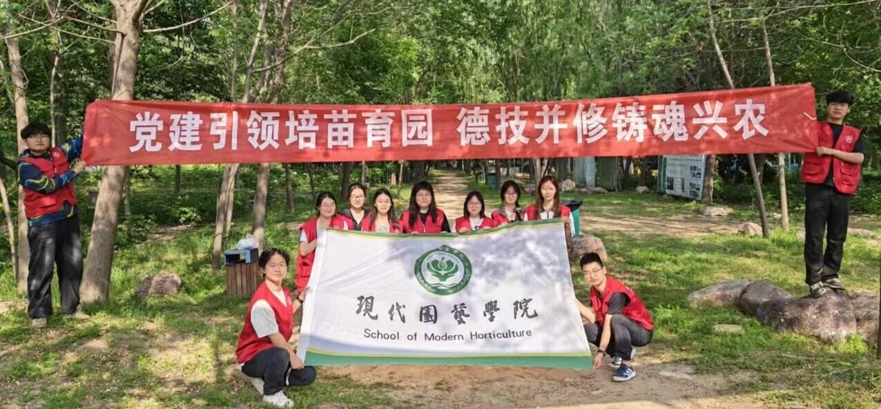 素材9