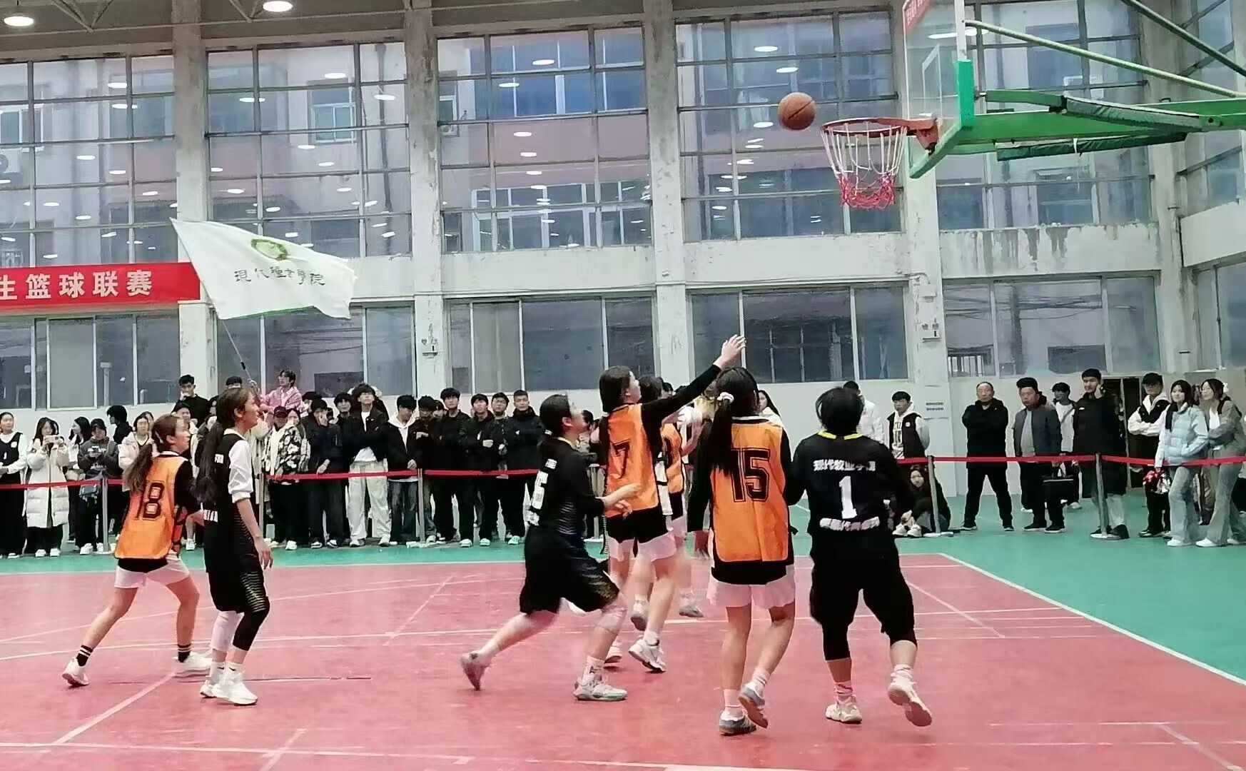 微信图片_20260504191020_596_13
